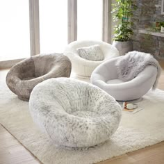 four different types of chairs on a rug in a living room with windows and potted plants