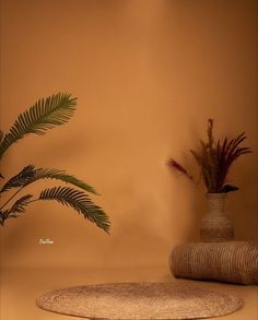 two potted plants sit next to each other in front of an orange wall and round rug