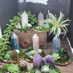 some rocks and plants are sitting on a table with stones, moss and other things