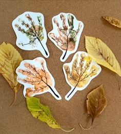 four leaf shaped magnets sitting on top of a table next to leaves and twigs