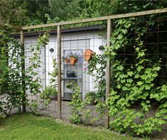 an outdoor garden with plants growing on the fence