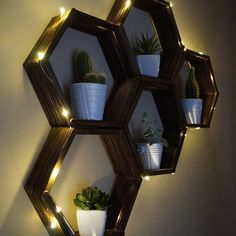 some potted plants and lights are on the wall in front of a hexagonal mirror