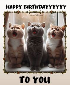 three cats sitting in front of a window with the caption happy birthday to you