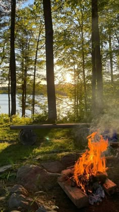 a campfire in the middle of a forest next to a lake with trees around it