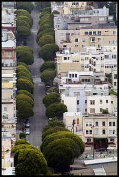 an aerial view of a city street lined with trees