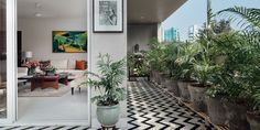 a living room filled with lots of plants on top of a floor covered in black and white tiles