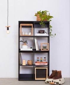 a bookshelf filled with lots of different items next to a lamp and potted plant