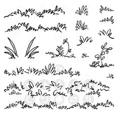 a set of hand drawn plants