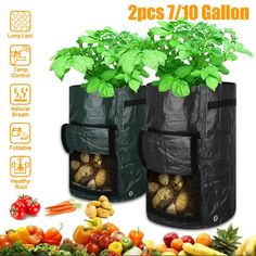 2PCS 7 10 Gallon Garden Grow Bags Aeration Planting Veg Pot Container Heavy Duty Potato Plant, Potato Planters, Carrot Gardening, Planting Potatoes, Strawberry Planters, Planter Bags, Planting Tools