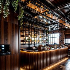 a dimly lit bar with lots of bottles on the shelves and plants hanging from the ceiling