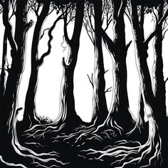 black and white drawing of trees with roots