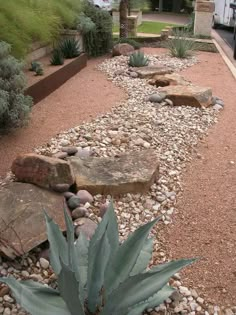 a garden with rocks and plants in it