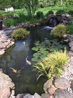 a pond filled with lots of water surrounded by rocks