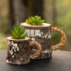 two wooden mugs with succulent plants in them on top of a table