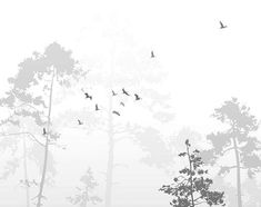 birds are flying in the foggy sky above trees