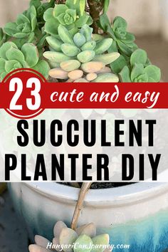 succulent planter with text overlay that reads 23 cute and easy succulent planter diy