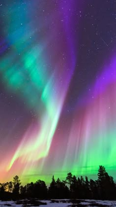 an aurora bore is seen in the night sky above some trees and snow covered ground