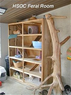 a wooden shelf filled with lots of different types of items next to a tree branch