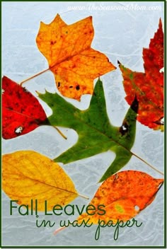 fall leaves in wax paper with the words, fall leaves in wax paper written below