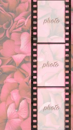 a film strip with pink flowers on it and the words photo in front of them