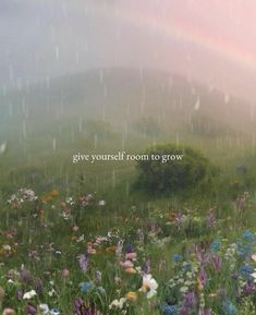 a field full of flowers with a rainbow in the sky above it that says, give yourself room to grow