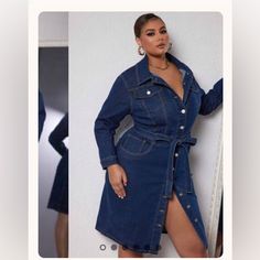 Denim Dress, New, Size Large, Has Front And Back Pockets. Dresses Shein, Shein Dress, Winter Color, Shein Dresses, Denim Dress, Color Blue, Fall Winter, Long Sleeve Dress, Womens Dresses