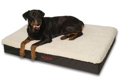 a large black dog laying on top of a pet bed