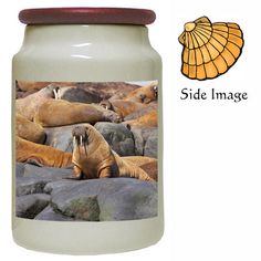 a jar with an image of sea lions on it and a seashell in the background