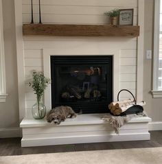 a fireplace with a dog sleeping on the mantle