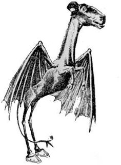 a drawing of a dragon with its wings spread out and it's head turned to the side