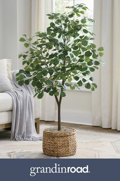 a small tree in a wicker basket on the floor