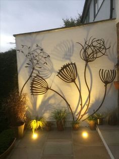 some plants are lit up in front of a white wall with shadows on the side