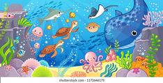 an underwater scene with sea animals and fish