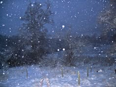 a snow covered field with trees and bushes in the background at night, while it's snowing