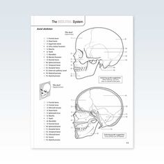 This publication presents a systematic course in human anatomy with the option of coloring to test student knowledge. It is perfect for anyone studying human sciences, nursing, and physiology. Use in class­room or home Creative or didactic coloring Softcover 400-page book Over 425 B+W illustrations Comprehensive Anatomical Glossary Printed single-sided heavy stock Perforated along spine Measures 8-1/2 x 11 inches (22x28 cm) Ages 16 and up Anatomy And Physiology Cover Page, Free Anatomy Coloring Pages, Anatomy Textbook, Anatomy And Physiology Book, Old Anatomy Book, Anatomy Coloring Book, Anatomy And Physiology, Human Anatomy, Anatomy