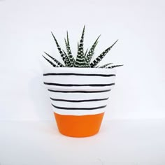 an orange and white potted plant sitting on top of a table