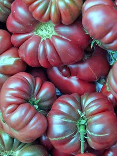 many red and green tomatoes piled on top of each other