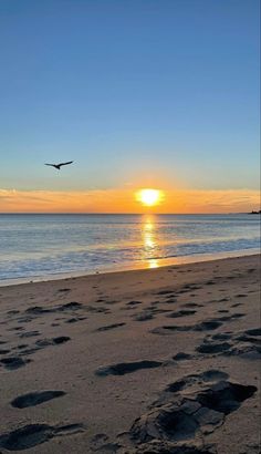 the sun is setting over the ocean with footprints in the sand and birds flying overhead