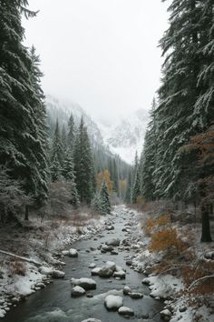 a stream running through a forest filled with snow covered trees and rocks in the foreground