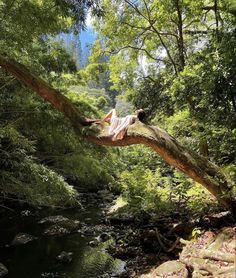 a woman laying on top of a tree branch over a stream in the woods near a forest