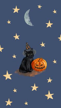 a black cat wearing a witches hat sitting next to a pumpkin