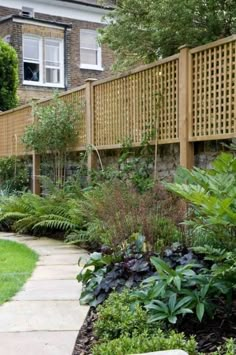 a garden with lots of plants and trees