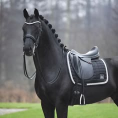 a black horse standing on top of a lush green field