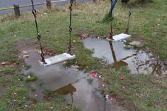 two swings in the middle of a field with water puddles and flowers on them