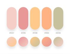 the different shades of pink and orange are shown in this graphic style, with each color being