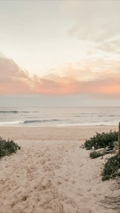 an empty beach path leading to the ocean at sunset with pink clouds in the sky