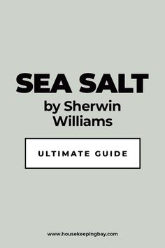 sea salt by sherwin williams ultimate guide