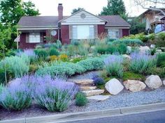 a house with lots of plants and rocks in front of it on the side of the road