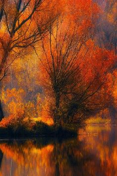 the trees are changing colors and reflecting in the water