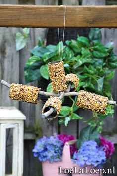 several bird feeders hanging from a tree branch in front of some flowers and a potted plant